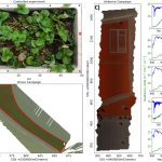 Detecting plant physiological changes under stress using sun-induced chlorophyll fluorescence from mid-spectral resolution imagery
