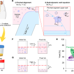 Urinary Exosome Isolation and Enrichment as Enabling Liquid Biopsy by Biologically Intact Exosome Separation Technology: BEST