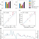 GPP-net: a robust high-resolution GPP estimation network for Sentinel-2 using only surface reflectance and photosynthetically active radiation