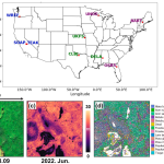 Species information in multi-temporal Sentinel-2 data improves forest canopy height estimation