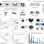A reconfigurable dielectric elastomer actuator via phase-transitional ferrofluid enables sustainable operation